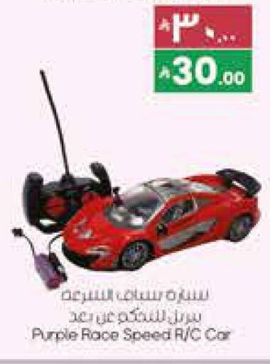 available at ستي فلاور in مملكة العربية السعودية, السعودية, سعودية - سكاكا