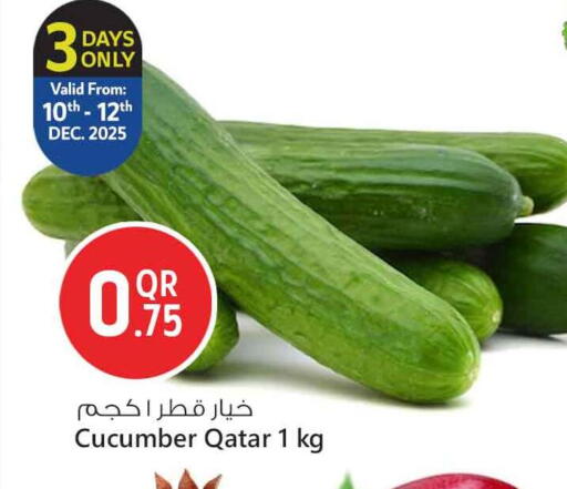 Cucumber from Qatar available at سفاري هايبر ماركت in قطر - الوكرة