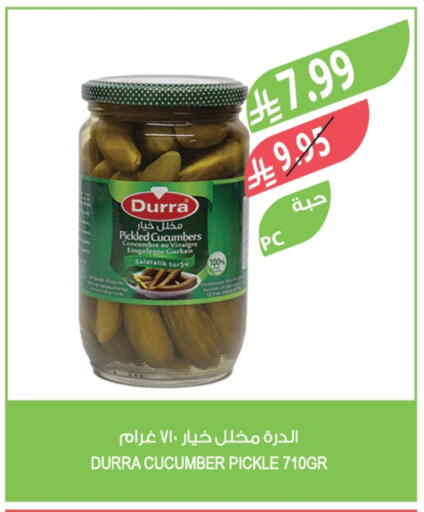 Cucumber available at المزرعة in مملكة العربية السعودية, السعودية, سعودية - الجبيل‎