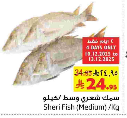 available at Layan Hyper in KSA, Saudi Arabia, Saudi - Al Khobar