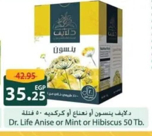 Anise Mint available at Spinneys  in Egypt - Cairo