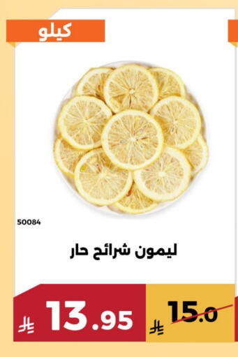 available at Forat Garden in KSA, Saudi Arabia, Saudi - Mecca