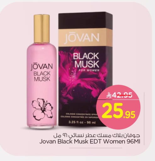 available at نستو in مملكة العربية السعودية, السعودية, سعودية - الجبيل‎