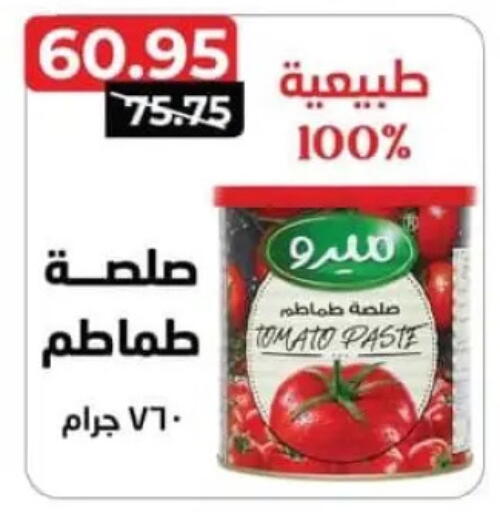 Tomato available at Spinneys  in Egypt - Cairo