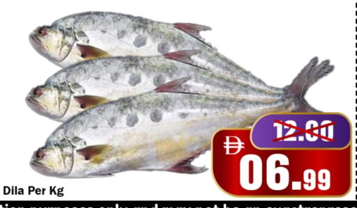 available at ROYAL GULF HYPERMARKET LLC in UAE - Abu Dhabi