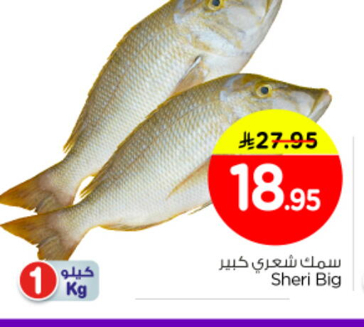 available at Nesto in KSA, Saudi Arabia, Saudi - Al Majmaah