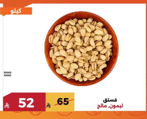 available at Forat Garden in KSA, Saudi Arabia, Saudi - Mecca