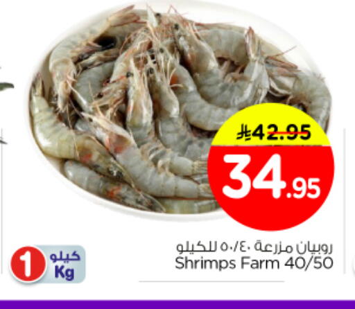 available at Nesto in KSA, Saudi Arabia, Saudi - Al Majmaah