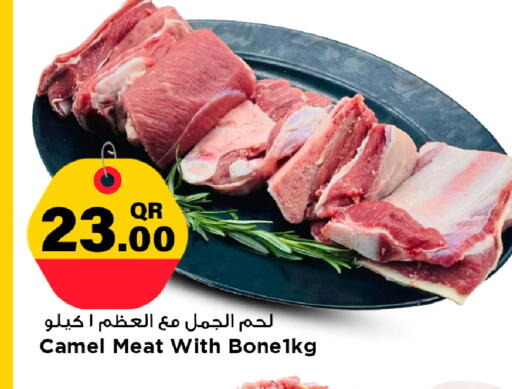 available at مرزا هايبرماركت in قطر - الريان