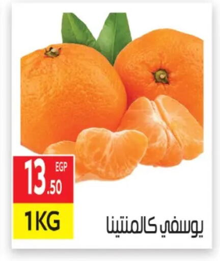 available at المحلاوي ماركت in Egypt - القاهرة