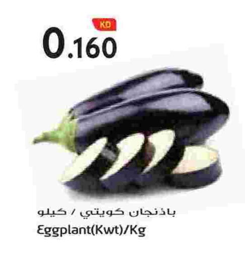 Eggplant available at Grand Hyper in Kuwait - Jahra Governorate