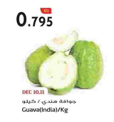 Guava from India available at جراند هايبر in الكويت - محافظة الجهراء