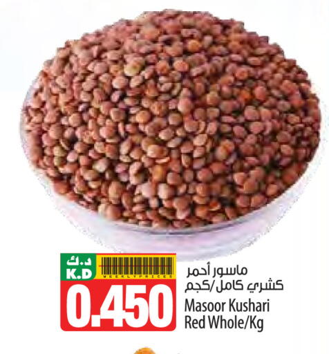 Mango available at Mango Hypermarket  in Kuwait - Ahmadi Governorate
