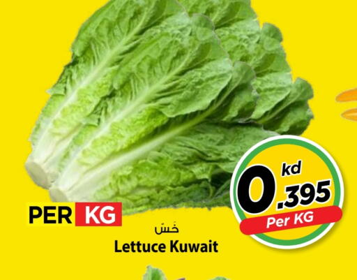 Lettuce from Kuwait available at Mark & Save in Kuwait - Kuwait City