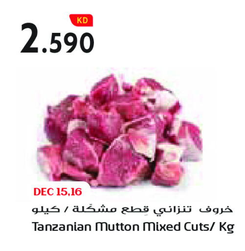 available at جراند كوستو in الكويت - مدينة الكويت