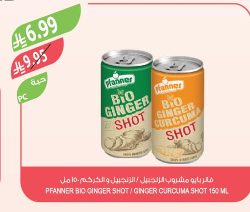 Ginger available at Farm  in KSA, Saudi Arabia, Saudi - Abha