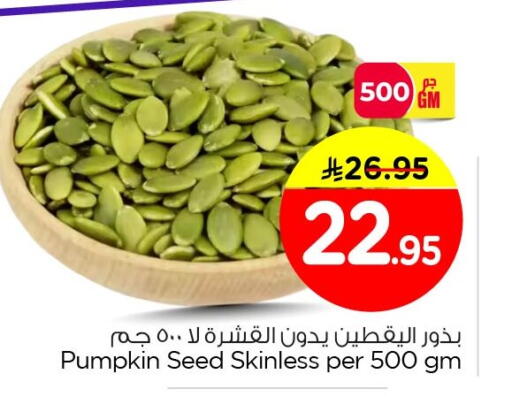 Pumpkin available at نستو in مملكة العربية السعودية, السعودية, سعودية - الأحساء‎