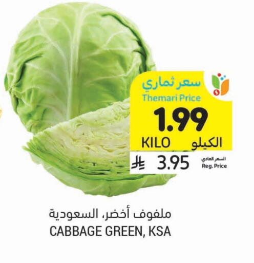 Cabbage available at Tamimi Market in KSA, Saudi Arabia, Saudi - Al Hasa