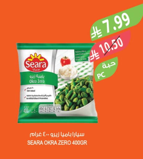 Okra available at Farm  in KSA, Saudi Arabia, Saudi - Al Bahah