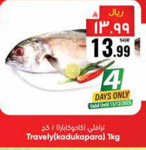 available at City Flower in KSA, Saudi Arabia, Saudi - Jubail