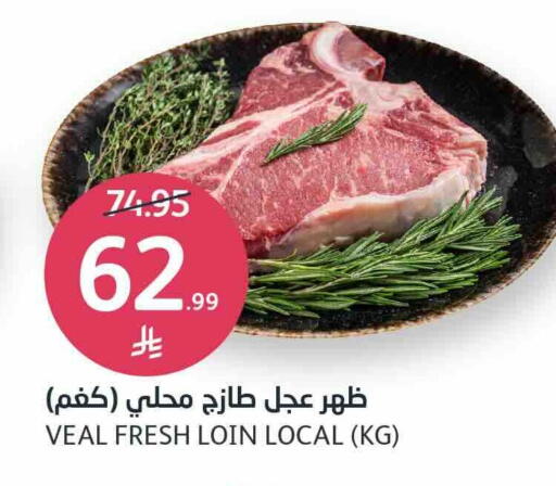 available at مركز الجزيرة للتسوق in مملكة العربية السعودية, السعودية, سعودية - الرياض