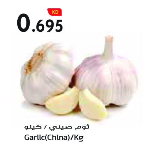 Garlic from China available at Grand Costo in Kuwait - Ahmadi Governorate