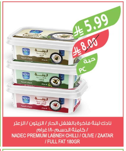 Chilli available at Farm  in KSA, Saudi Arabia, Saudi - Arar