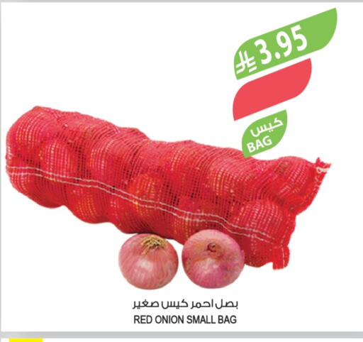 Onion available at المزرعة in مملكة العربية السعودية, السعودية, سعودية - الباحة
