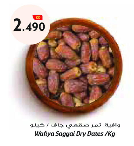 available at Grand Costo in Kuwait - Ahmadi Governorate