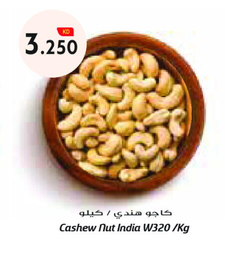 available at Grand Costo in Kuwait - Ahmadi Governorate