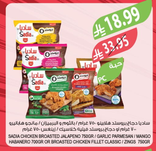 Mango Garlic available at Farm  in KSA, Saudi Arabia, Saudi - Al Khobar