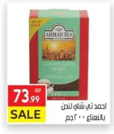 Mint available at المحلاوي ماركت in Egypt - القاهرة