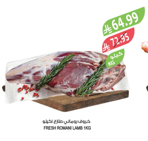 available at Farm  in KSA, Saudi Arabia, Saudi - Yanbu