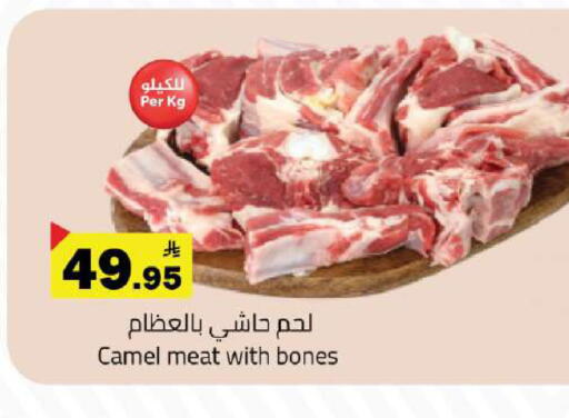 available at مخازن هايبرماركت in مملكة العربية السعودية, السعودية, سعودية - تبوك