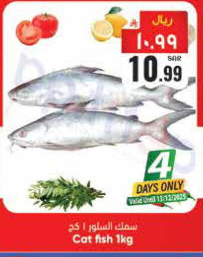 available at ستي فلاور in مملكة العربية السعودية, السعودية, سعودية - حائل‎