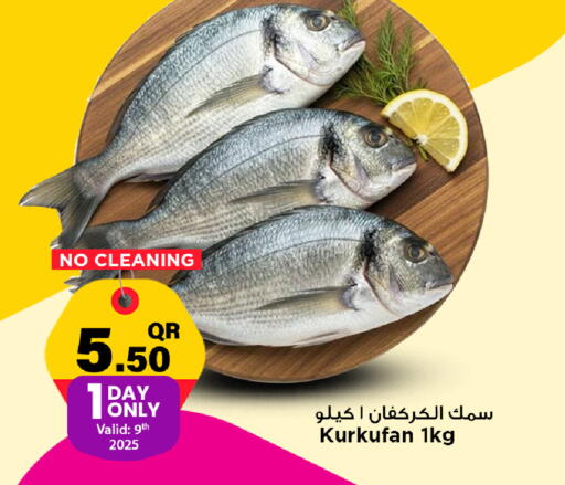available at Marza Hypermarket in Qatar - Umm Salal