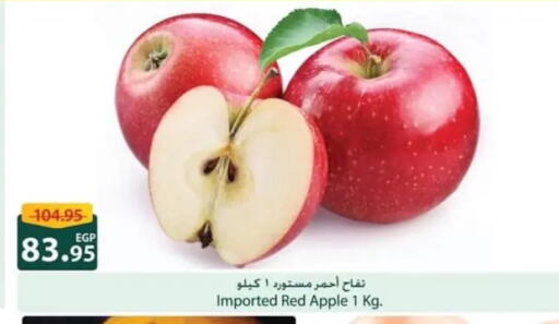 Apple available at Spinneys  in Egypt - Cairo