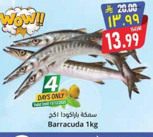 available at City Flower in KSA, Saudi Arabia, Saudi - Sakaka