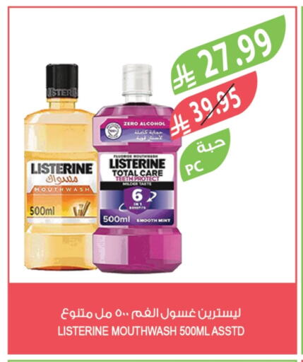 Mint available at Farm  in KSA, Saudi Arabia, Saudi - Al-Kharj