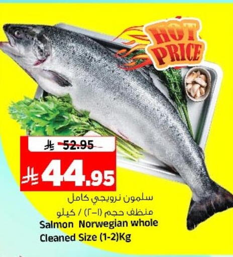 available at المدينة هايبرماركت in مملكة العربية السعودية, السعودية, سعودية - الرياض