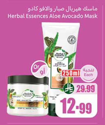 Avocado available at Othaim Markets in KSA, Saudi Arabia, Saudi - Bishah