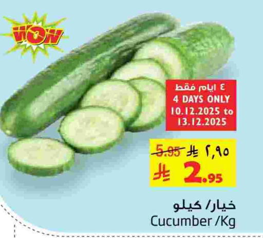 Cucumber available at ليان هايبر in مملكة العربية السعودية, السعودية, سعودية - الخبر‎