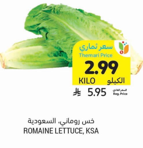 Lettuce available at Tamimi Market in KSA, Saudi Arabia, Saudi - Al Hasa