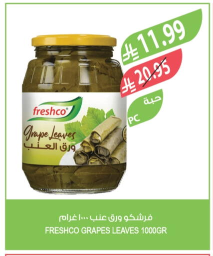 Grapes available at المزرعة in مملكة العربية السعودية, السعودية, سعودية - جازان