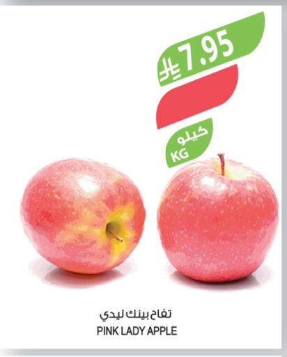 Apple available at المزرعة in مملكة العربية السعودية, السعودية, سعودية - سكاكا