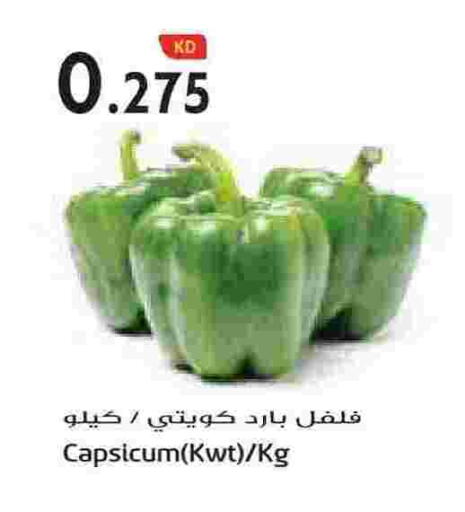Capsicum available at Grand Hyper in Kuwait - Jahra Governorate