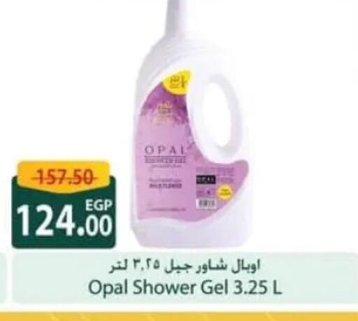 available at سبينس in Egypt - القاهرة