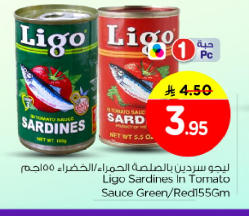 Tomato available at نستو in مملكة العربية السعودية, السعودية, سعودية - الرياض