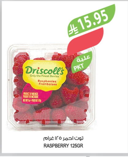 Raspberry available at المزرعة in مملكة العربية السعودية, السعودية, سعودية - سكاكا
