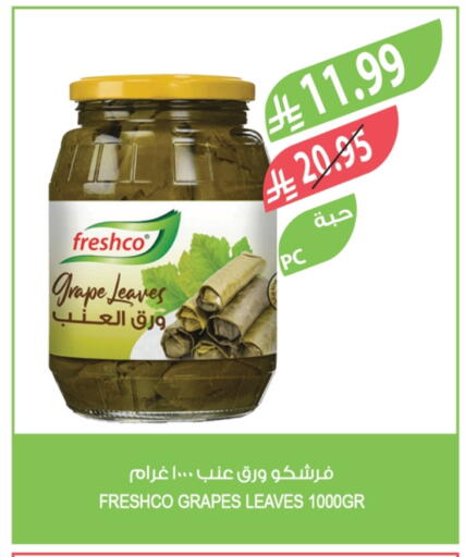 Grapes available at Farm  in KSA, Saudi Arabia, Saudi - Qatif